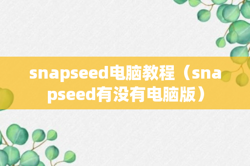 snapseed电脑教程（snapseed有没有电脑版）