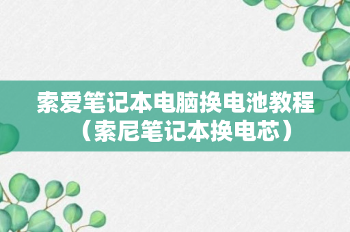 索爱笔记本电脑换电池教程（索尼笔记本换电芯）