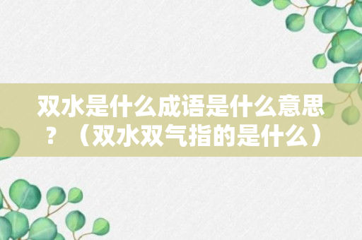 双水是什么成语是什么意思？（双水双气指的是什么）