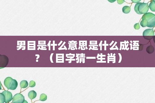 男目是什么意思是什么成语？（目字猜一生肖）