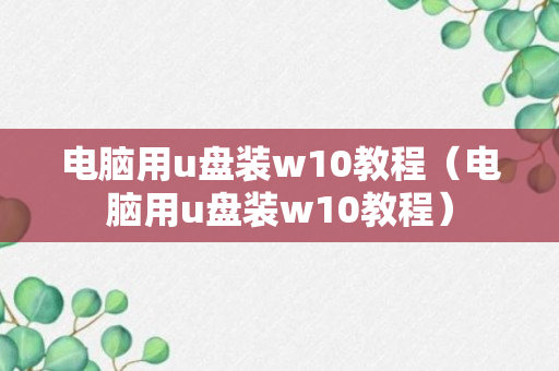 电脑用u盘装w10教程（电脑用u盘装w10教程）