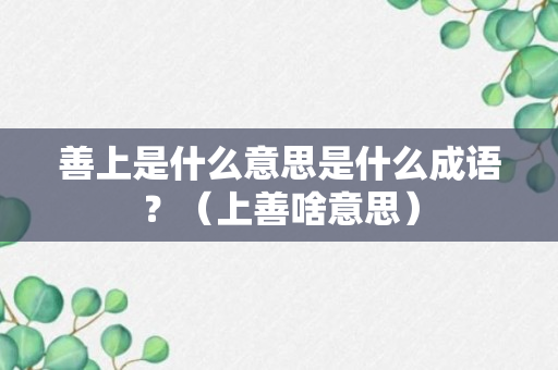 善上是什么意思是什么成语？（上善啥意思）