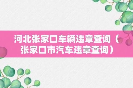 河北张家口车辆违章查询（张家口市汽车违章查询）