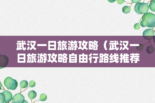 武汉一日旅游攻略（武汉一日旅游攻略自由行路线推荐一下）