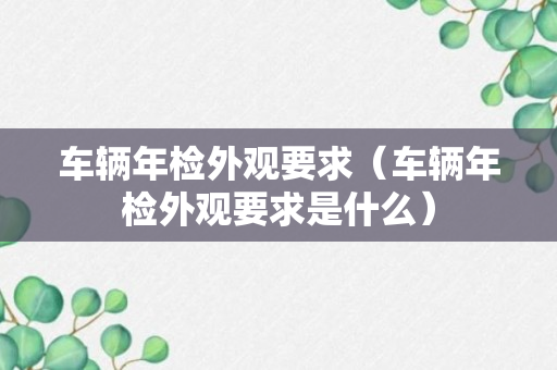 车辆年检外观要求（车辆年检外观要求是什么）