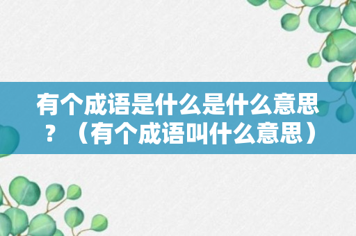 有个成语是什么是什么意思？（有个成语叫什么意思）