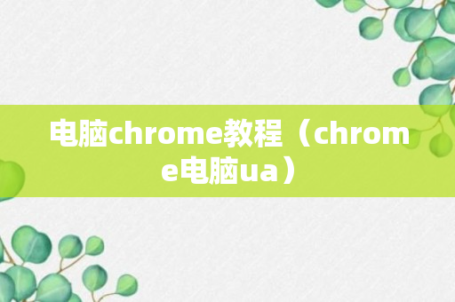 电脑chrome教程（chrome电脑ua）