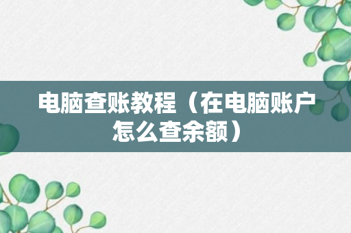 电脑查账教程（在电脑账户怎么查余额）