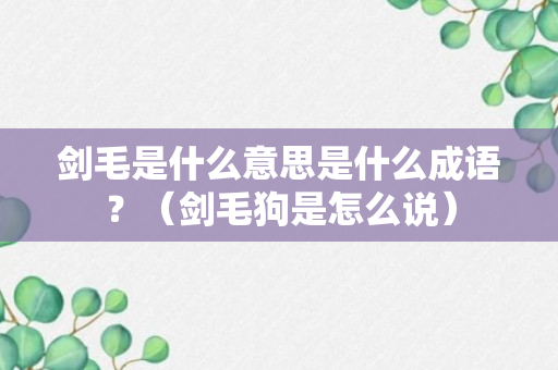 剑毛是什么意思是什么成语？（剑毛狗是怎么说）