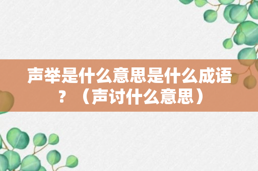 声举是什么意思是什么成语？（声讨什么意思）