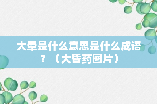 大晕是什么意思是什么成语？（大昏药图片）