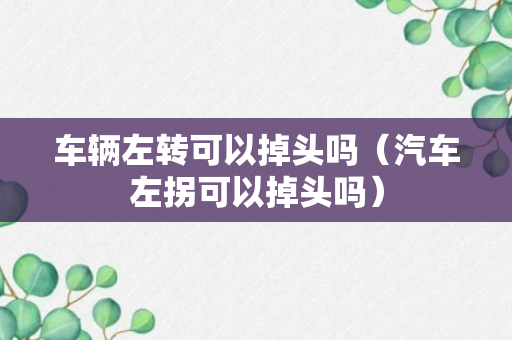 车辆左转可以掉头吗（汽车左拐可以掉头吗）