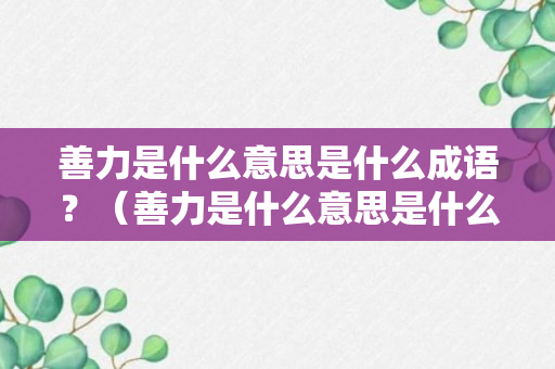 善力是什么意思是什么成语？（善力是什么意思是什么成语啊）