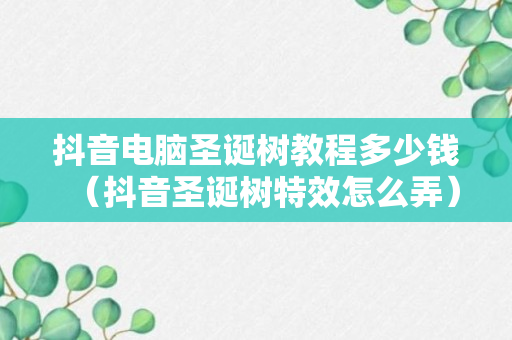 抖音电脑圣诞树教程多少钱（抖音圣诞树特效怎么弄）