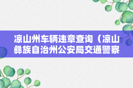 凉山州车辆违章查询（凉山彝族自治州公安局交通警察支队车辆管理所）