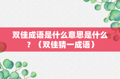 双佳成语是什么意思是什么？（双佳猜一成语）