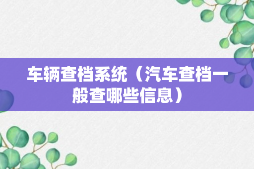 车辆查档系统（汽车查档一般查哪些信息）