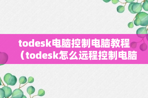 todesk电脑控制电脑教程（todesk怎么远程控制电脑）