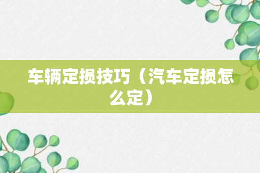 车辆定损技巧（汽车定损怎么定）