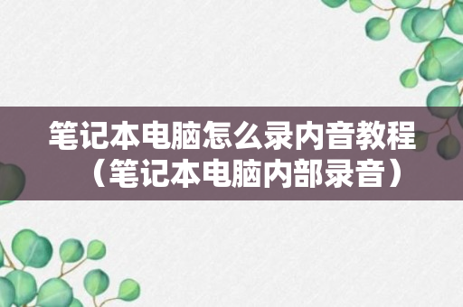 笔记本电脑怎么录内音教程（笔记本电脑内部录音）