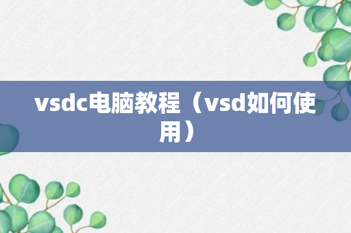 vsdc电脑教程（vsd如何使用）