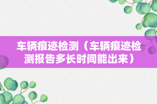 车辆痕迹检测（车辆痕迹检测报告多长时间能出来）