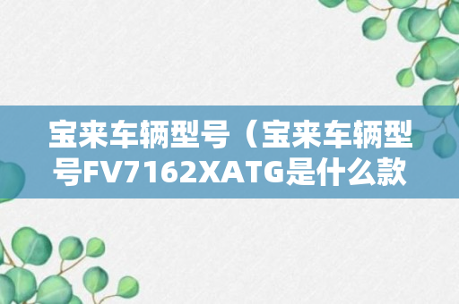 宝来车辆型号（宝来车辆型号FV7162XATG是什么款式）