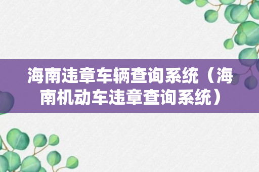 海南违章车辆查询系统（海南机动车违章查询系统）