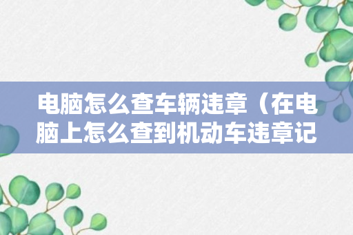 电脑怎么查车辆违章（在电脑上怎么查到机动车违章记录）