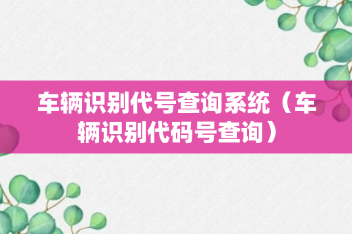 车辆识别代号查询系统（车辆识别代码号查询）