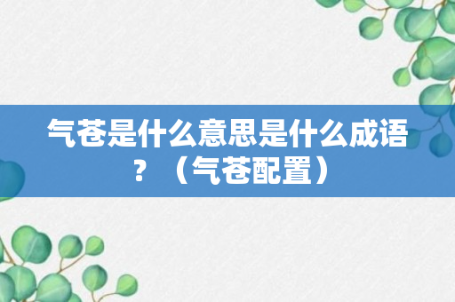 气苍是什么意思是什么成语？（气苍配置）