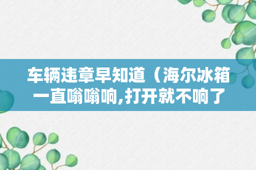 车辆违章早知道（海尔冰箱一直嗡嗡响,打开就不响了）