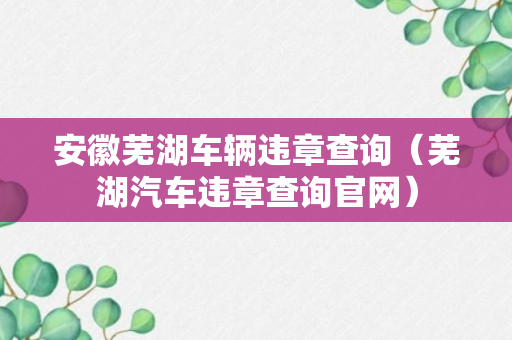 安徽芜湖车辆违章查询（芜湖汽车违章查询官网）