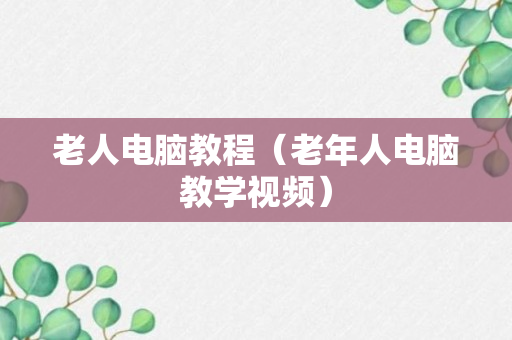 老人电脑教程（老年人电脑教学视频）