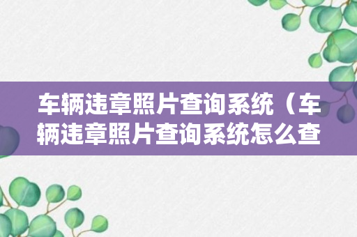 车辆违章照片查询系统（车辆违章照片查询系统怎么查）