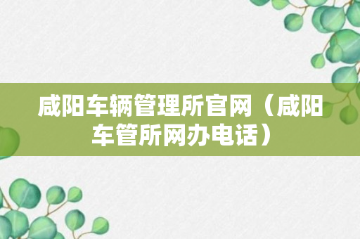 咸阳车辆管理所官网（咸阳车管所网办电话）