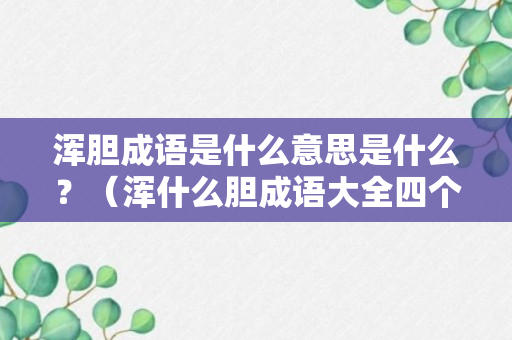 浑胆成语是什么意思是什么？（浑什么胆成语大全四个字）