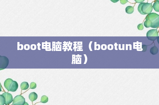boot电脑教程（bootun电脑）