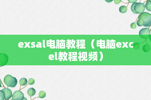 exsal电脑教程（电脑excel教程视频）