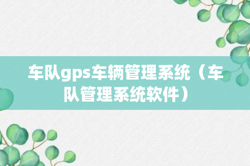 车队gps车辆管理系统（车队管理系统软件）