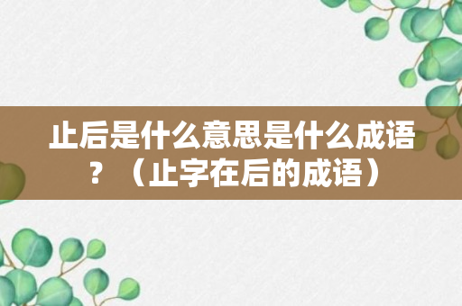 止后是什么意思是什么成语？（止字在后的成语）