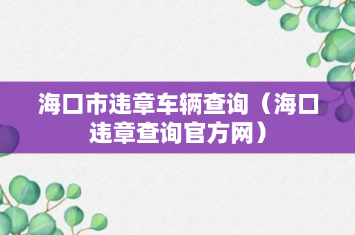 海口市违章车辆查询（海口违章查询官方网）