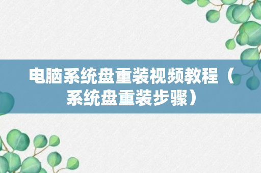 电脑系统盘重装视频教程（系统盘重装步骤）