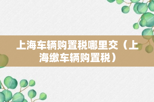 上海车辆购置税哪里交（上海缴车辆购置税）