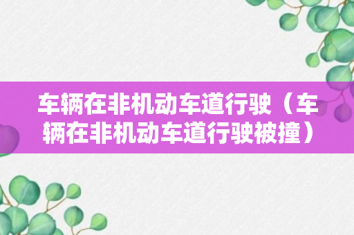 车辆在非机动车道行驶（车辆在非机动车道行驶被撞）