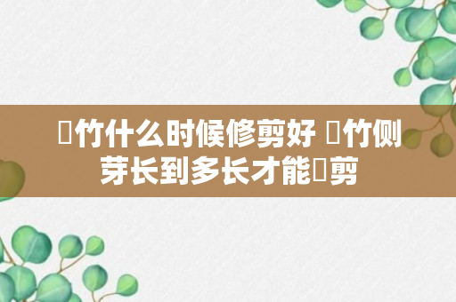 簕竹什么时候修剪好 簕竹侧芽长到多长才能俢剪