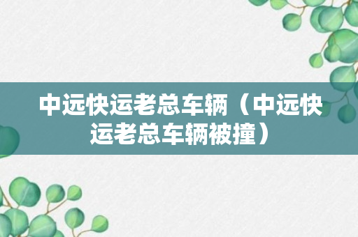 中远快运老总车辆（中远快运老总车辆被撞）