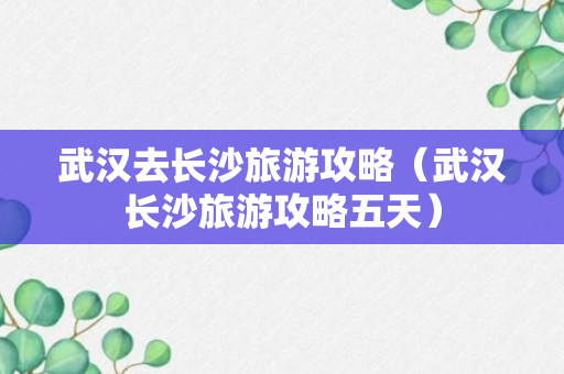 武汉去长沙旅游攻略（武汉长沙旅游攻略五天）