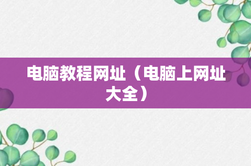 电脑教程网址（电脑上网址大全）