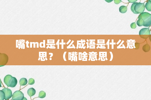 嘴tmd是什么成语是什么意思？（嘴啥意思）